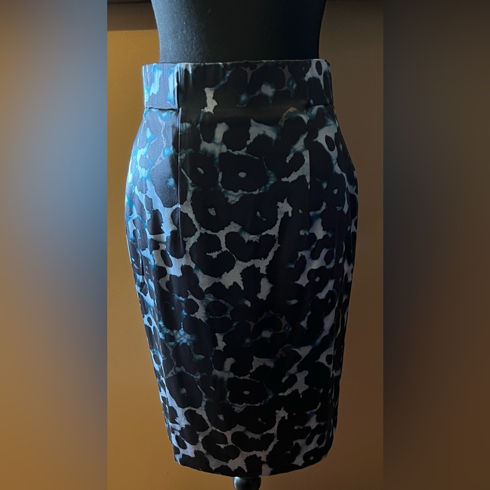Ann Taylor silk skirt